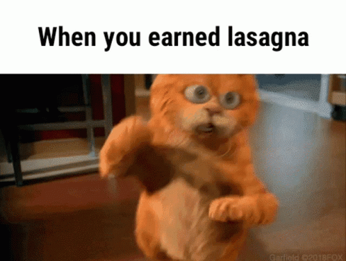 A Picture Of A Cat That Says When You Earned Lasagna On It GIF