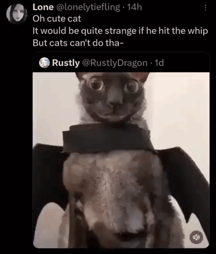 A Picture Of A Cat Wearing A Bat Costume On A Twitter Post GIF