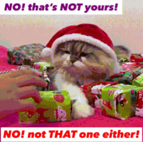 A Picture Of A Cat Wearing A Santa Hat With The Words No That 'S Not Yours Below It GIF