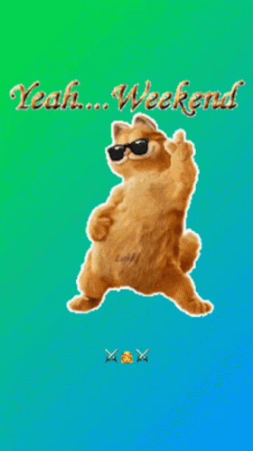 A Picture Of A Cat Wearing Sunglasses That Says Weekend GIF