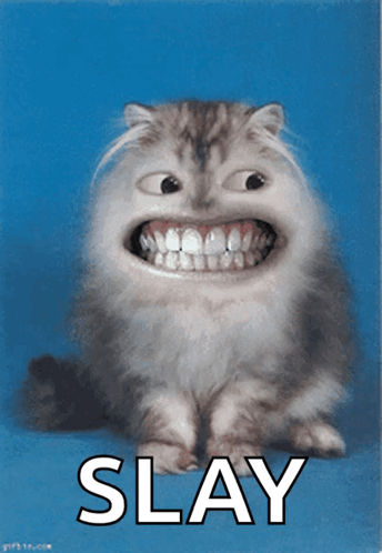 A Picture Of A Cat With A Big Smile And The Word Slay Underneath It GIF