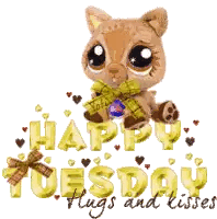 a picture of a cat with a bow and the words happy tuesday hugs and kisses
