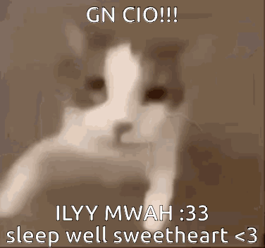 A Picture Of A Cat With A Caption That Says Gn Cio Ilyy Mwah 33 Sleep Well Sweetheart < 3 GIF