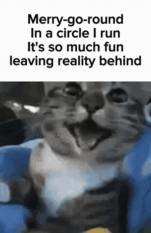 A Picture Of A Cat With A Caption That Says Merry-Go-Round In A Circle I Run GIF
