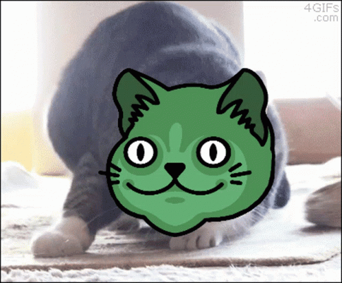 A Picture Of A Cat With A Green Face And The Words 4Gifs.com At The Bottom GIF