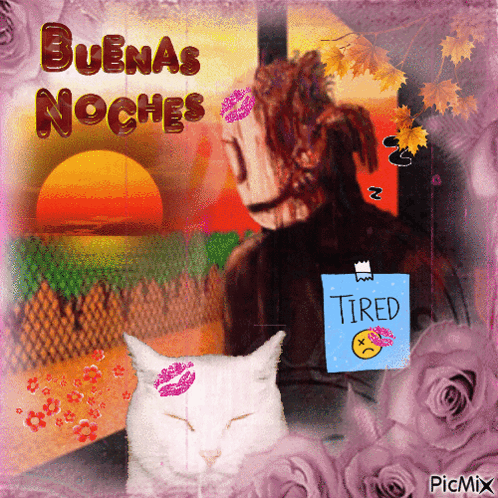A Picture Of A Cat With A Kiss On Its Face And The Words Buenas Noches GIF