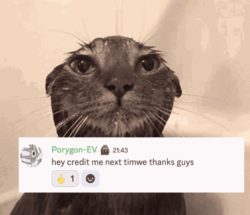 A Picture Of A Cat With A Message From Porygon-Ev Below It GIF
