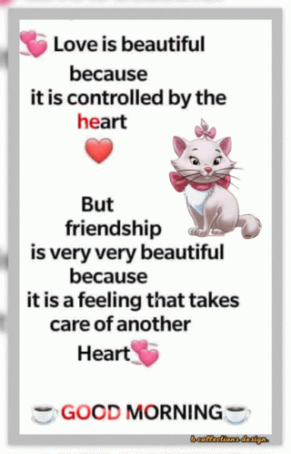 A Picture Of A Cat With A Quote On It GIF