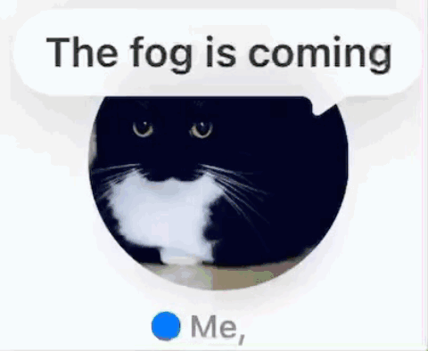 A Picture Of A Cat With A Speech Bubble That Says The Fog Is Coming GIF