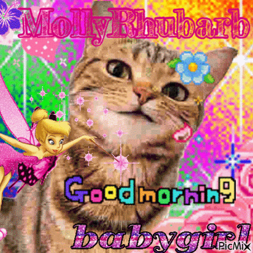 A Picture Of A Cat With A Tinkerbell Fairy And The Words Good Morning Babygirl GIF