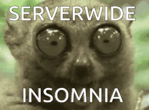 A Picture Of A Cat With Big Eyes And The Words Serverwide Insomnia GIF