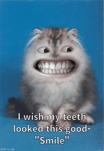 A Picture Of A Cat With Big Teeth And The Words " I Wish My Teeth Looked This Good Smile " GIF
