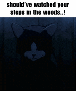 A Picture Of A Cat With Glowing Eyes And The Caption Should 'Ve Watched Your Steps In The Woods GIF