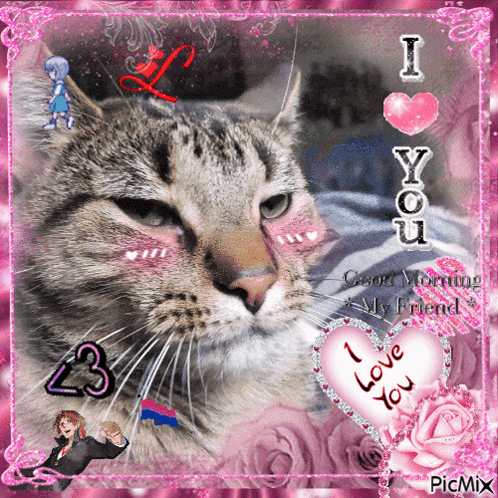 A Picture Of A Cat With Hearts And The Words I Love You GIF