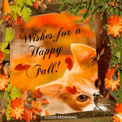 A Picture Of A Cat With Leaves And Flowers With The Words `` Wishes For A Happy Fall ! '' GIF