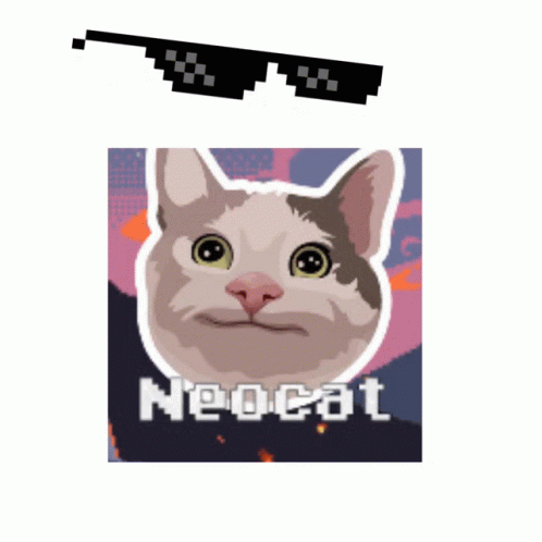 A Picture Of A Cat With Sunglasses And The Word Neocat GIF