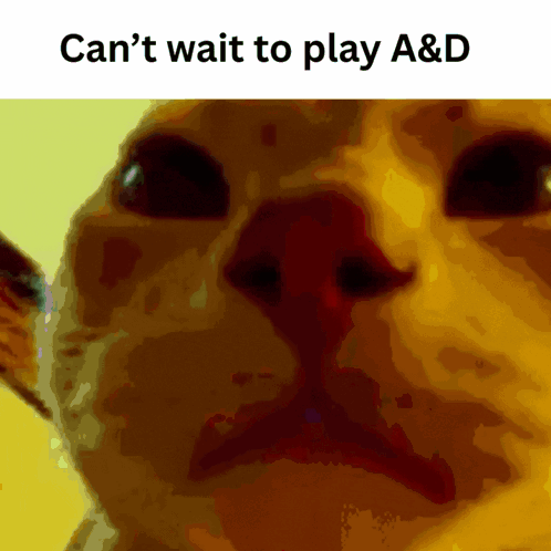A Picture Of A Cat With The Caption Can 'T Wait To Play A&d GIF