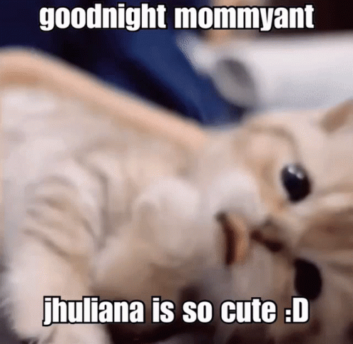 a picture of a cat with the caption " goodnight mommyant jhuliana is so cute : d "