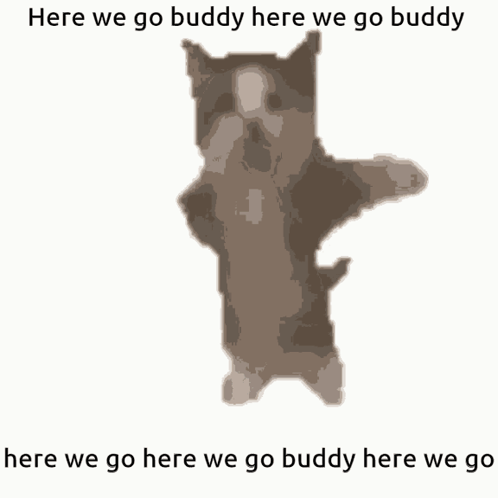 A Picture Of A Cat With The Caption Here We Go Buddy Here We Go Buddy GIF