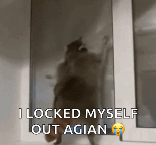 A Picture Of A Cat With The Caption " I Locked Myself Out Agian " GIF