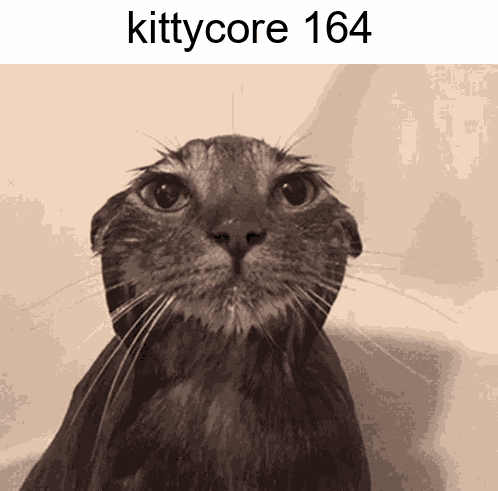 A Picture Of A Cat With The Text Kittycore 164 GIF