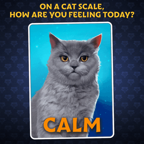 A Picture Of A Cat With The Word Calm In Orange GIF