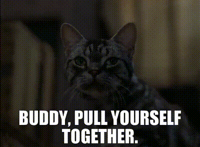 A Picture Of A Cat With The Words " Buddy Pull Yourself Together " Above It GIF