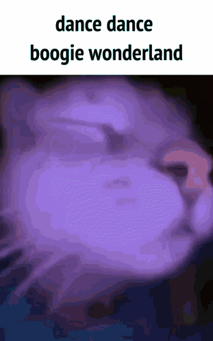 A Picture Of A Cat With The Words Dance Dance Boogie Wonderland Below It GIF