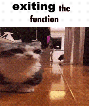 a picture of a cat with the words exiting the function on the bottom