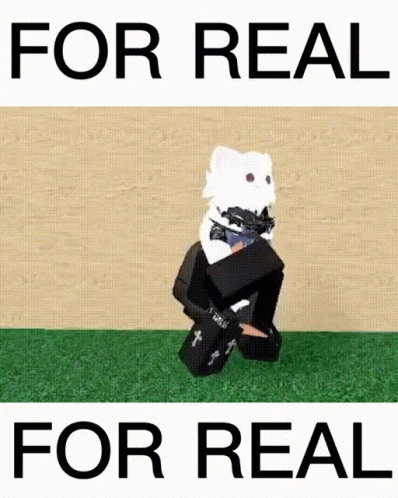 A Picture Of A Cat With The Words " For Real " On The Bottom GIF