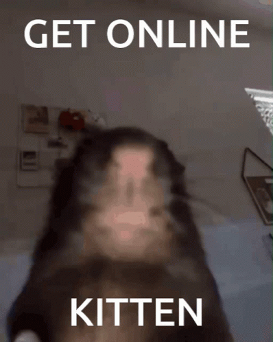 A Picture Of A Cat With The Words Get Online Kitten On It GIF