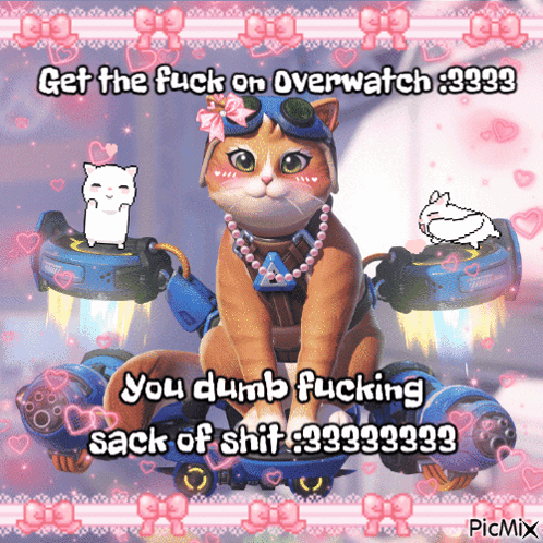 A Picture Of A Cat With The Words Get The Fuck On Overwatch 9999 GIF