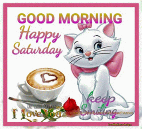 A Picture Of A Cat With The Words Good Morning Happy Saturday GIF