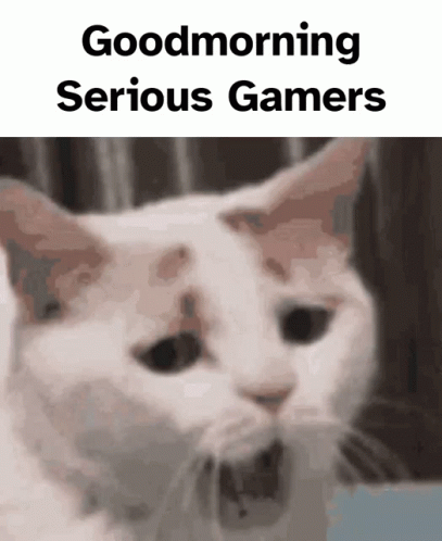 A Picture Of A Cat With The Words " Good Morning Serious Gamers " Below It GIF