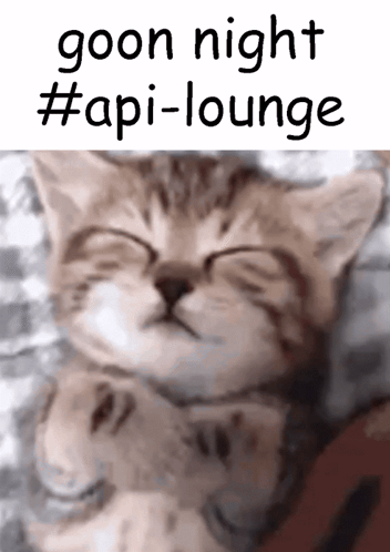 A Picture Of A Cat With The Words Goon Night #Api-Lounge GIF