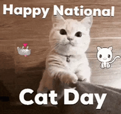 A Picture Of A Cat With The Words Happy National Cat Day On It GIF
