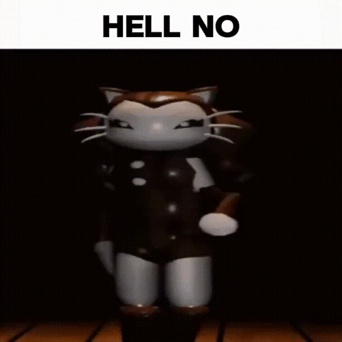 A Picture Of A Cat With The Words Hell No Written On It GIF