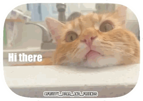 a picture of a cat with the words hi there on it