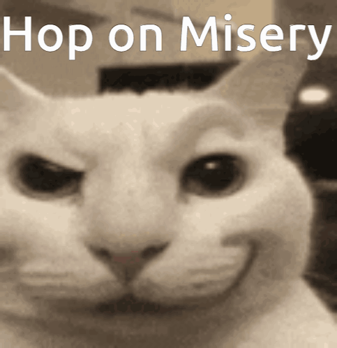 A Picture Of A Cat With The Words Hop On Misery Written Above It GIF