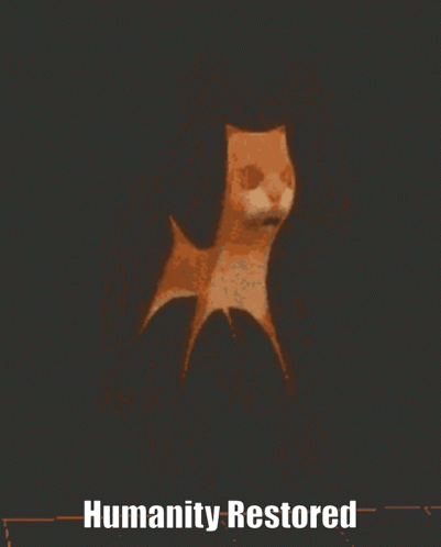 A Picture Of A Cat With The Words Humanity Restored Underneath It GIF