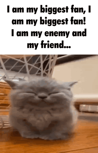 A Picture Of A Cat With The Words I Am My Biggest Fan I Am My Biggest Fan GIF