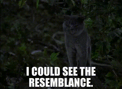 A Picture Of A Cat With The Words I Could See The Resemblance GIF