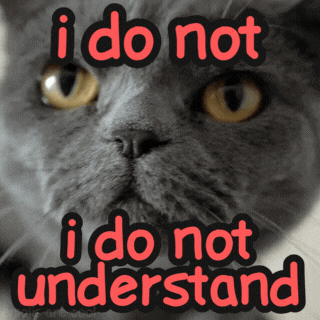 A Picture Of A Cat With The Words " I Do Not I Do Not Understand " On It GIF