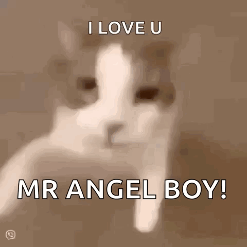 A Picture Of A Cat With The Words I Love U Mr Angel Boy GIF