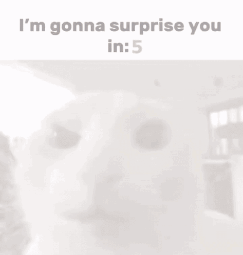 A Picture Of A Cat With The Words I 'M Gonna Surprise You In 4 Below It GIF