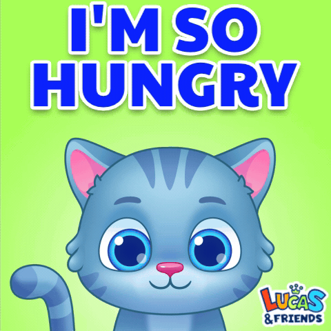 A Picture Of A Cat With The Words I 'M So Hungry GIF