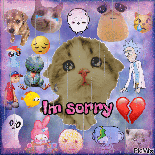 A Picture Of A Cat With The Words I 'M Sorry Written On It GIF