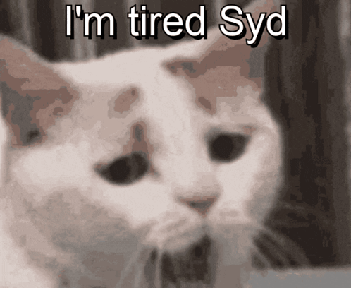 A Picture Of A Cat With The Words I 'M Tired Syd GIF