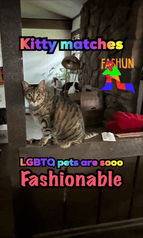 A Picture Of A Cat With The Words " Kitty Matches Lgbtq Pets Are Sooo Fashionable " GIF