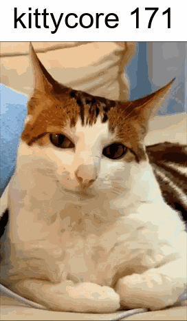 A Picture Of A Cat With The Words Kittycore 171 On The Bottom GIF